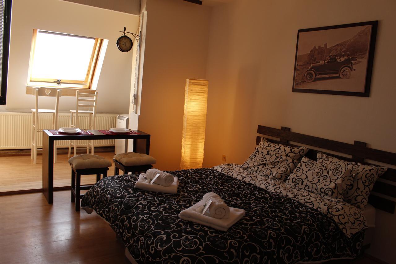 Apartman "Soba Sa Pogledom" Golubac Buitenkant foto