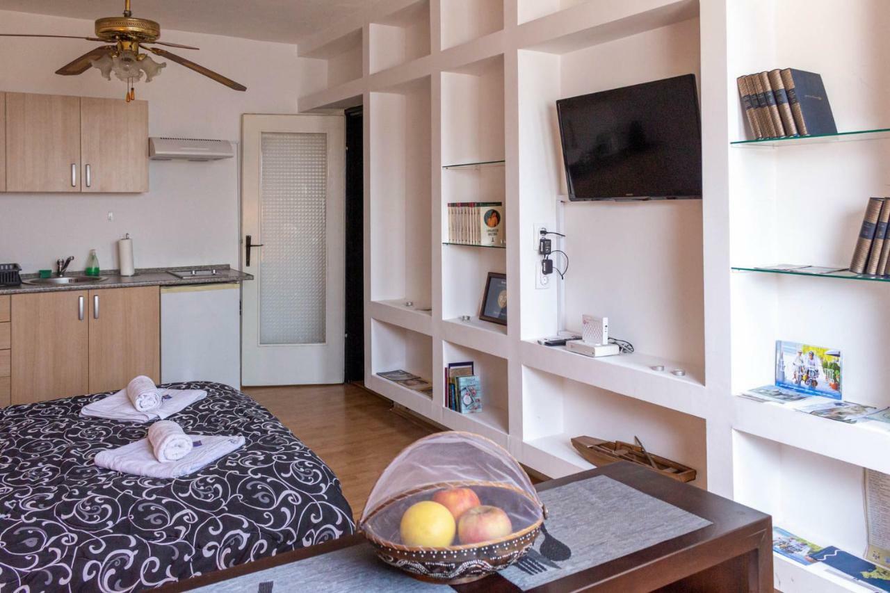 Apartman "Soba Sa Pogledom" Golubac Buitenkant foto